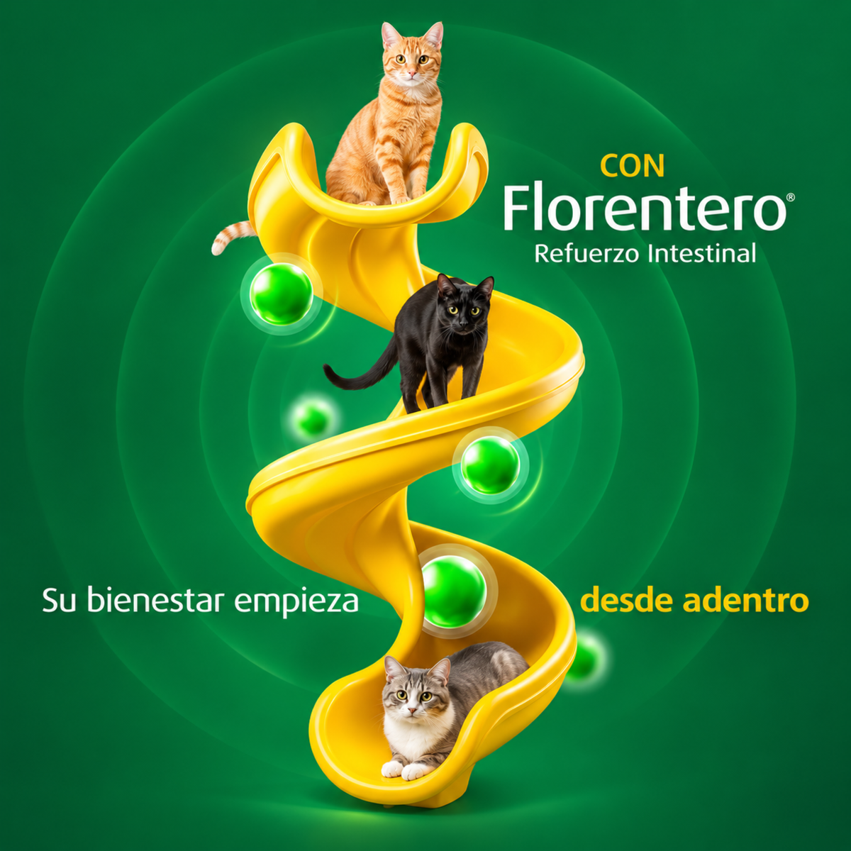 Florentero Probiótico y Prebiótico para Perros y Gatos | 10 Tabletas