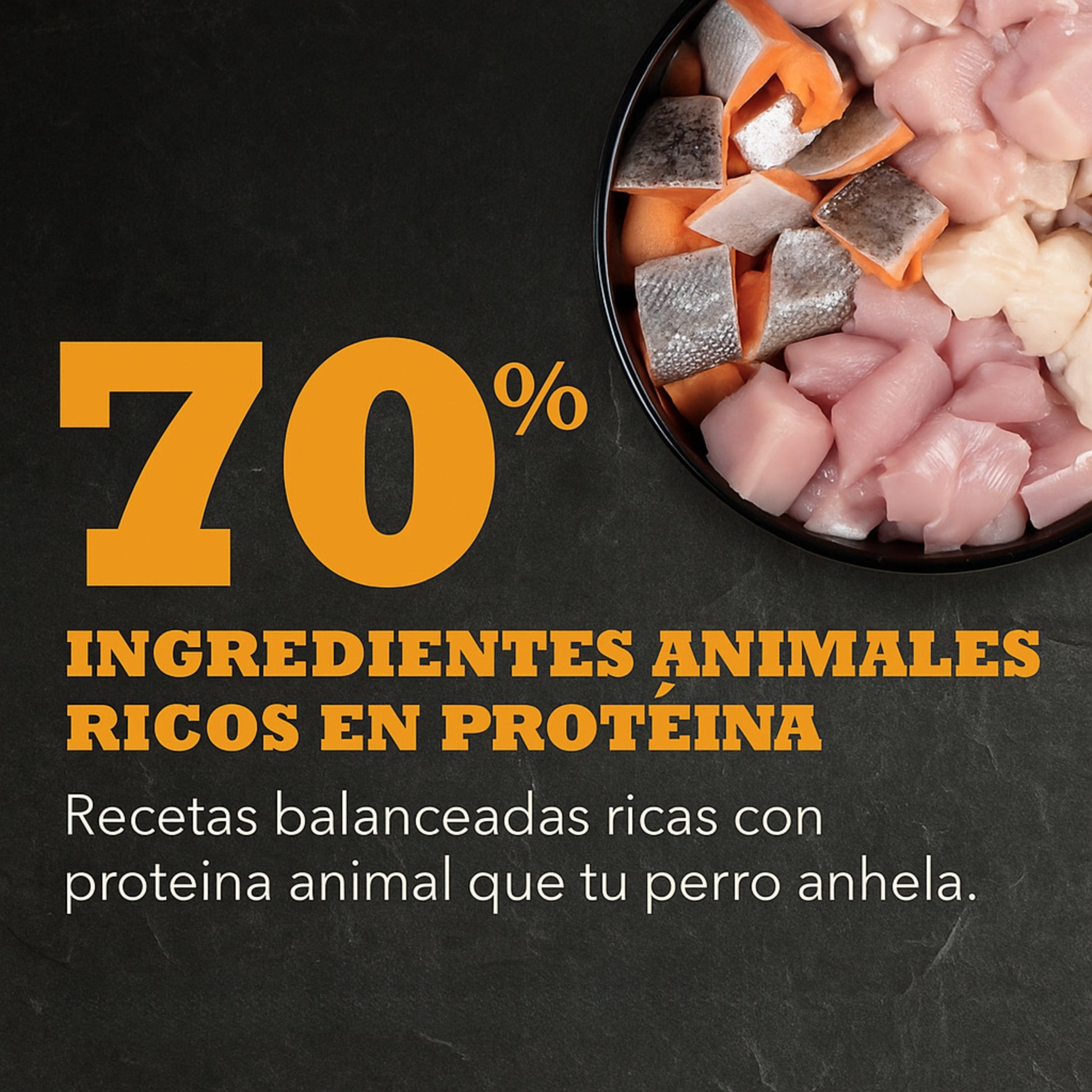 acana-meadowland-highest-alimento-premium-para-perros