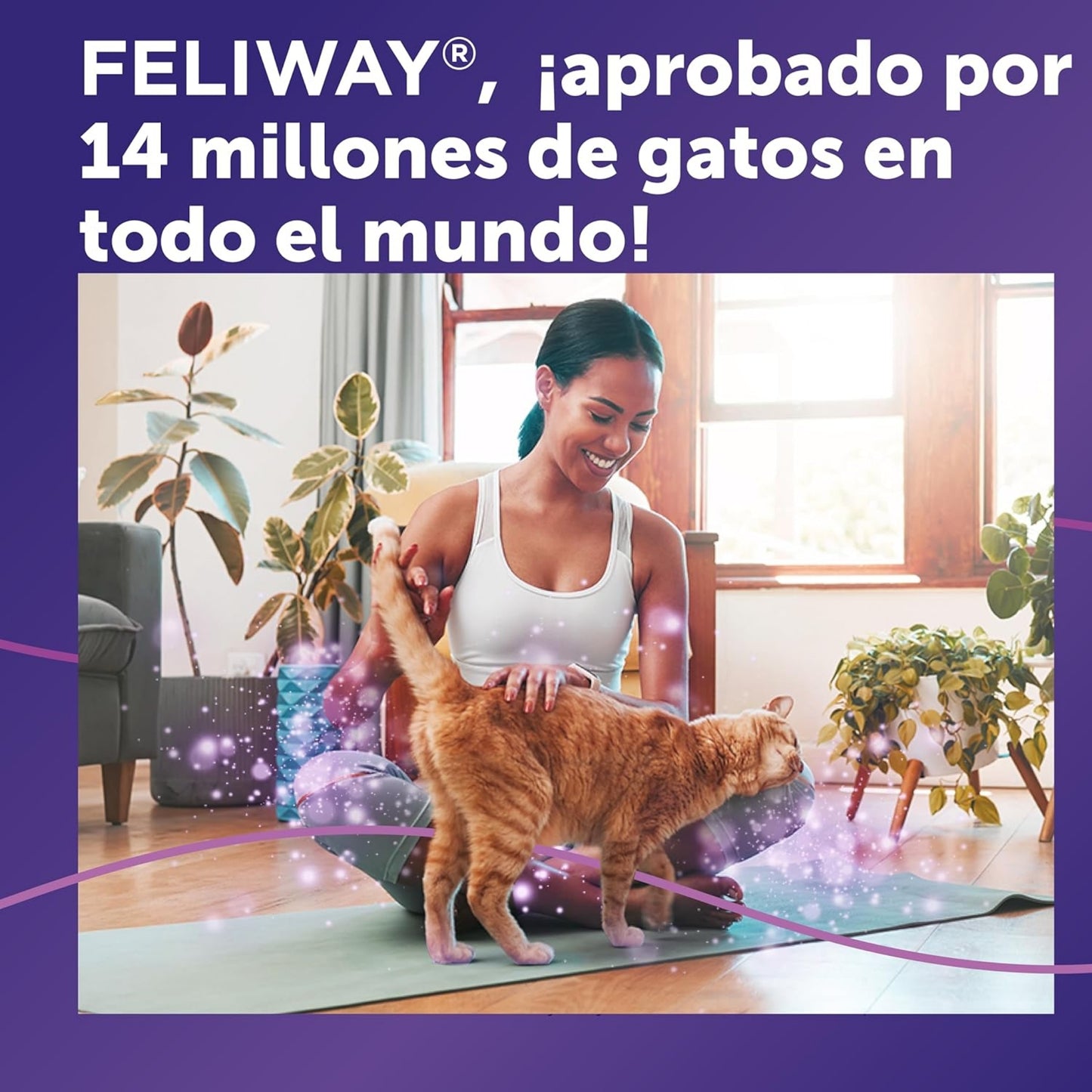FELIWAY® Classic Spray – Control del Estrés y Comportamientos Inapropiados