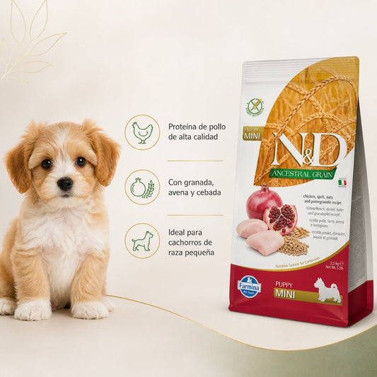 N&D Ancestral Grain Pollo Cachorro Mini 2.5kg - Cosmos
