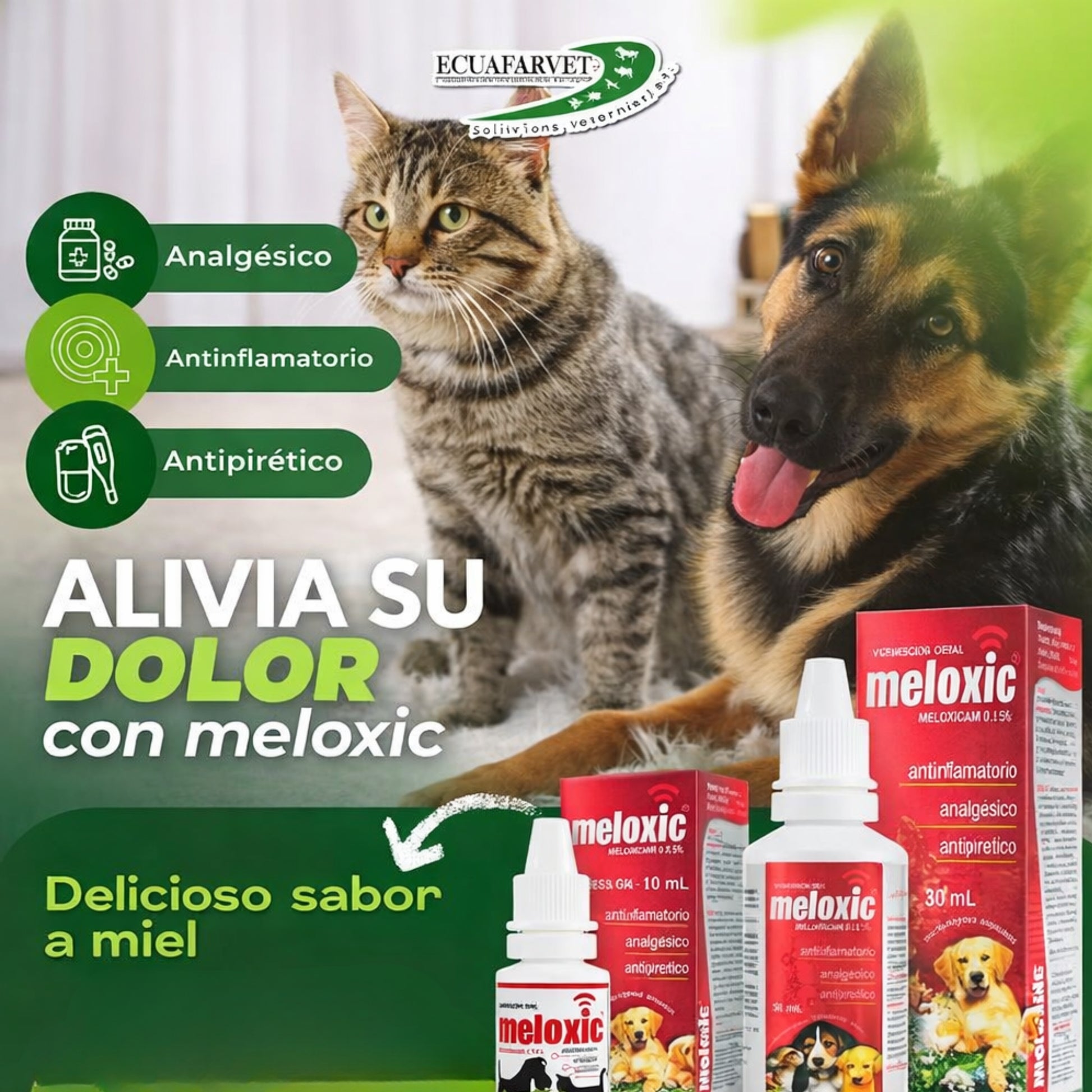 Meloxic 0.15% Suspensión Oral 10ml – Alivio del Dolor e Inflamación en Perros y Gatos - Cosmos