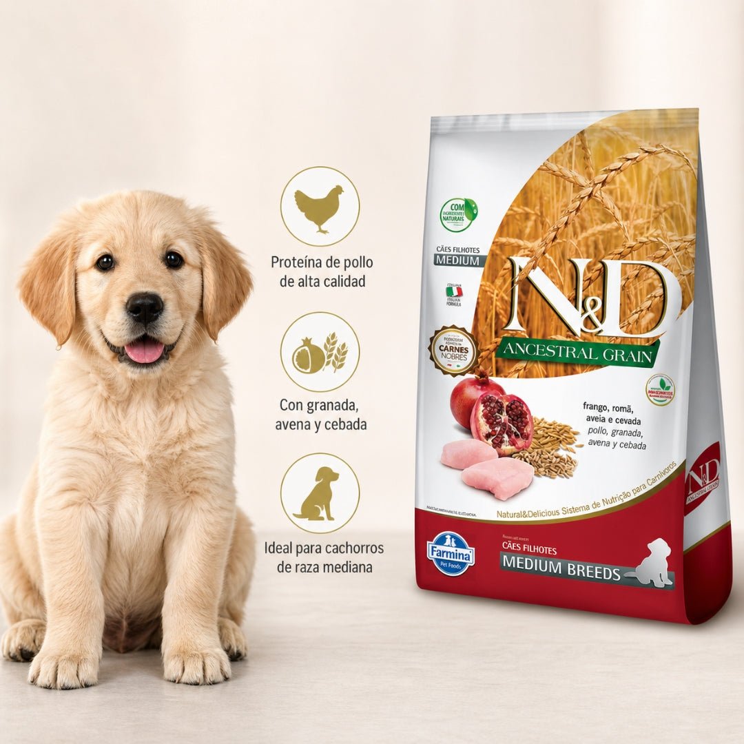 N&D Ancestral Grain Pollo Cachorro Medium 10.1kg - Cosmos