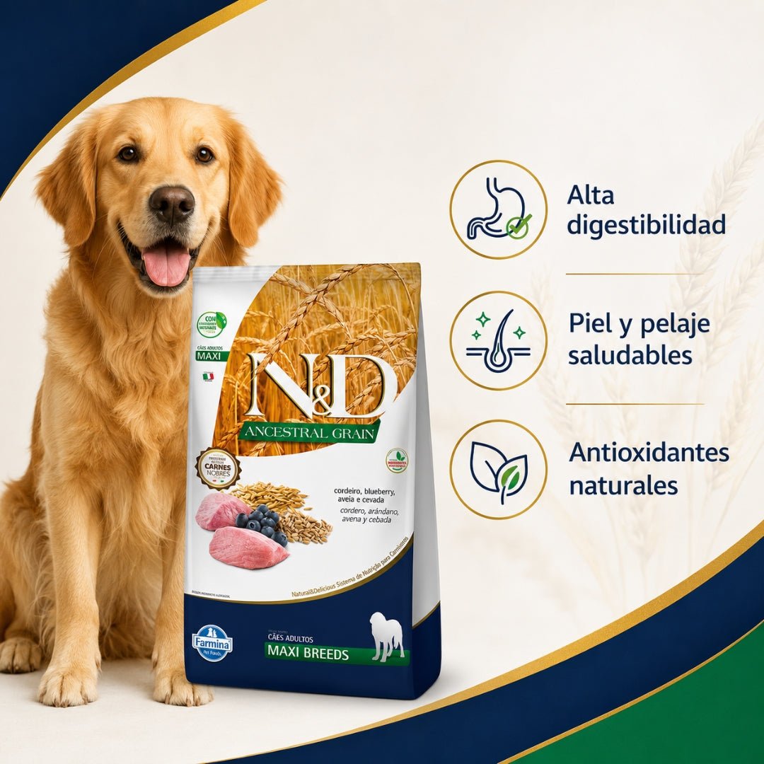 N&D Ancestral Grain Cordero Adulto Maxi 10.1kg - Cosmos