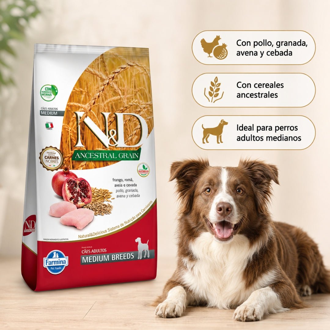N&D Ancestral Grain Pollo Adulto Medium - Cosmos