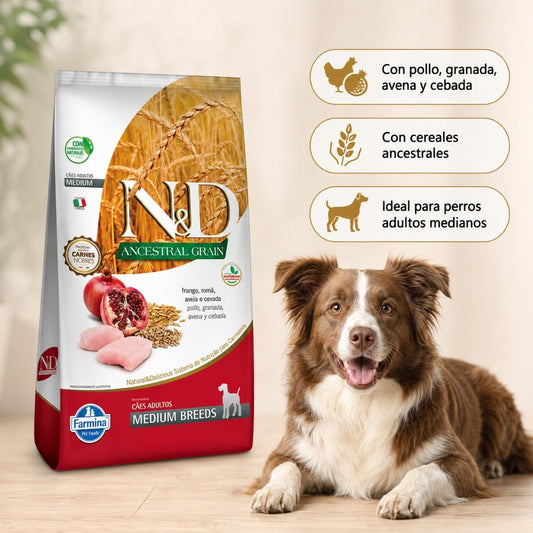 N&D Ancestral Grain Pollo Adulto Medium - Cosmos