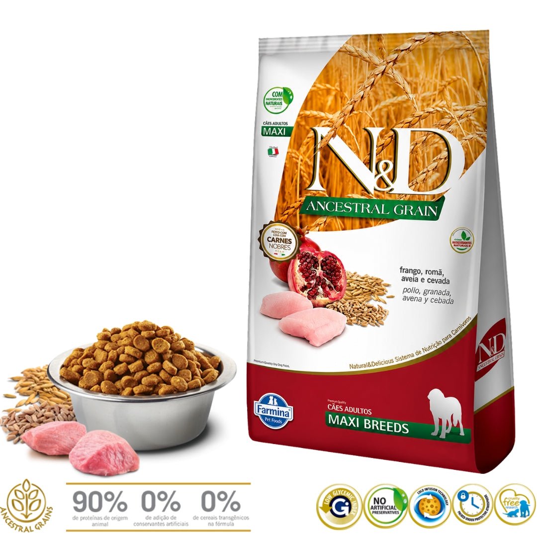 N&D Ancestral Grain Pollo Adulto Maxi 10.1kg - Cosmos