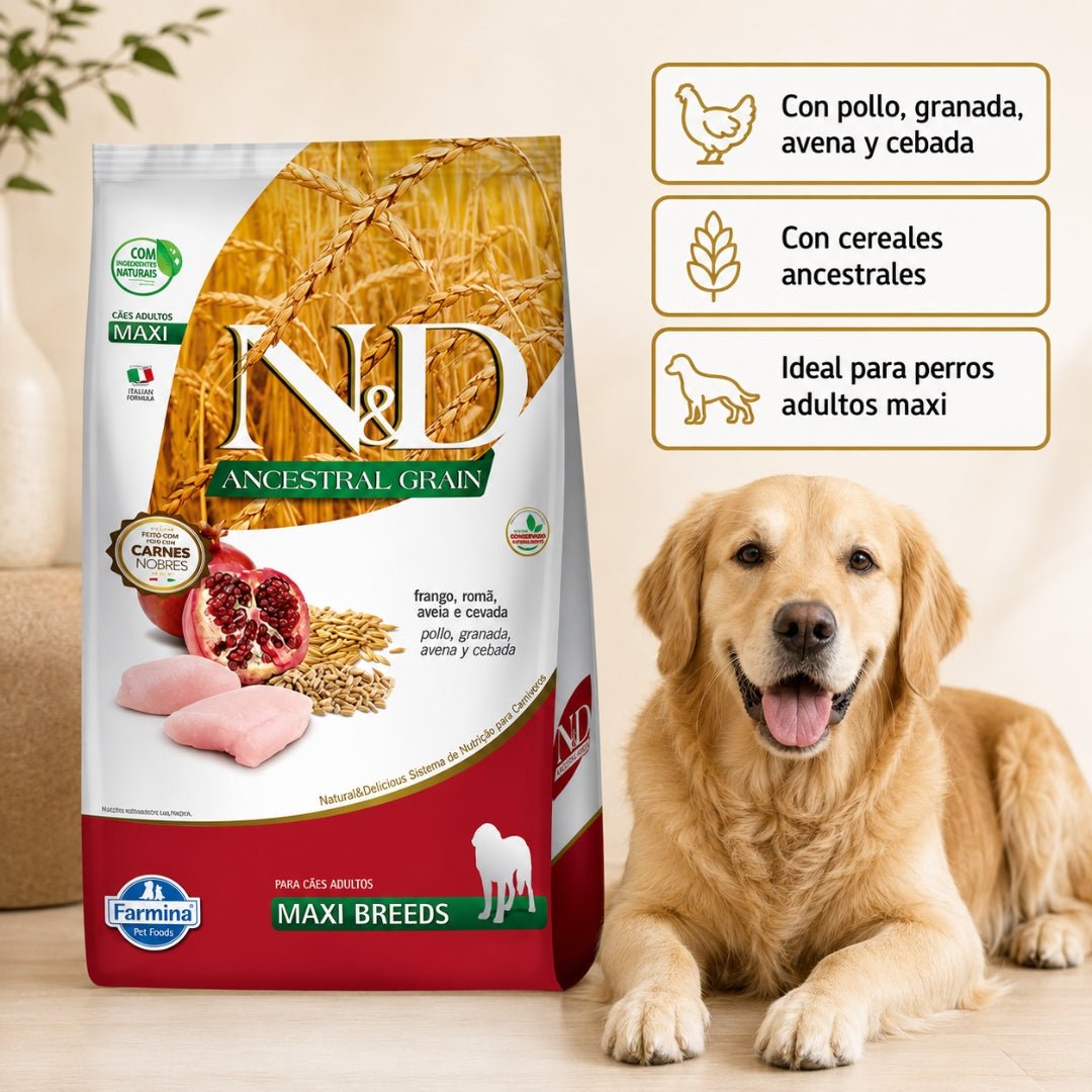 N&D Ancestral Grain Pollo Adulto Maxi 10.1kg - Cosmos