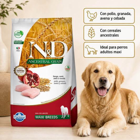 N&D Ancestral Grain Pollo Adulto Maxi 10.1kg - Cosmos