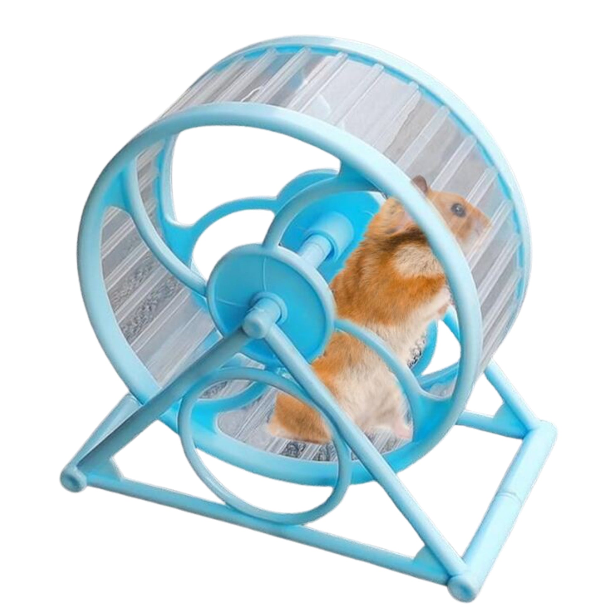 Rueda de Ejercicio Silenciosa para Pequeños Animales – Hamsters, Ratones, Erizos y Más - COSMOS