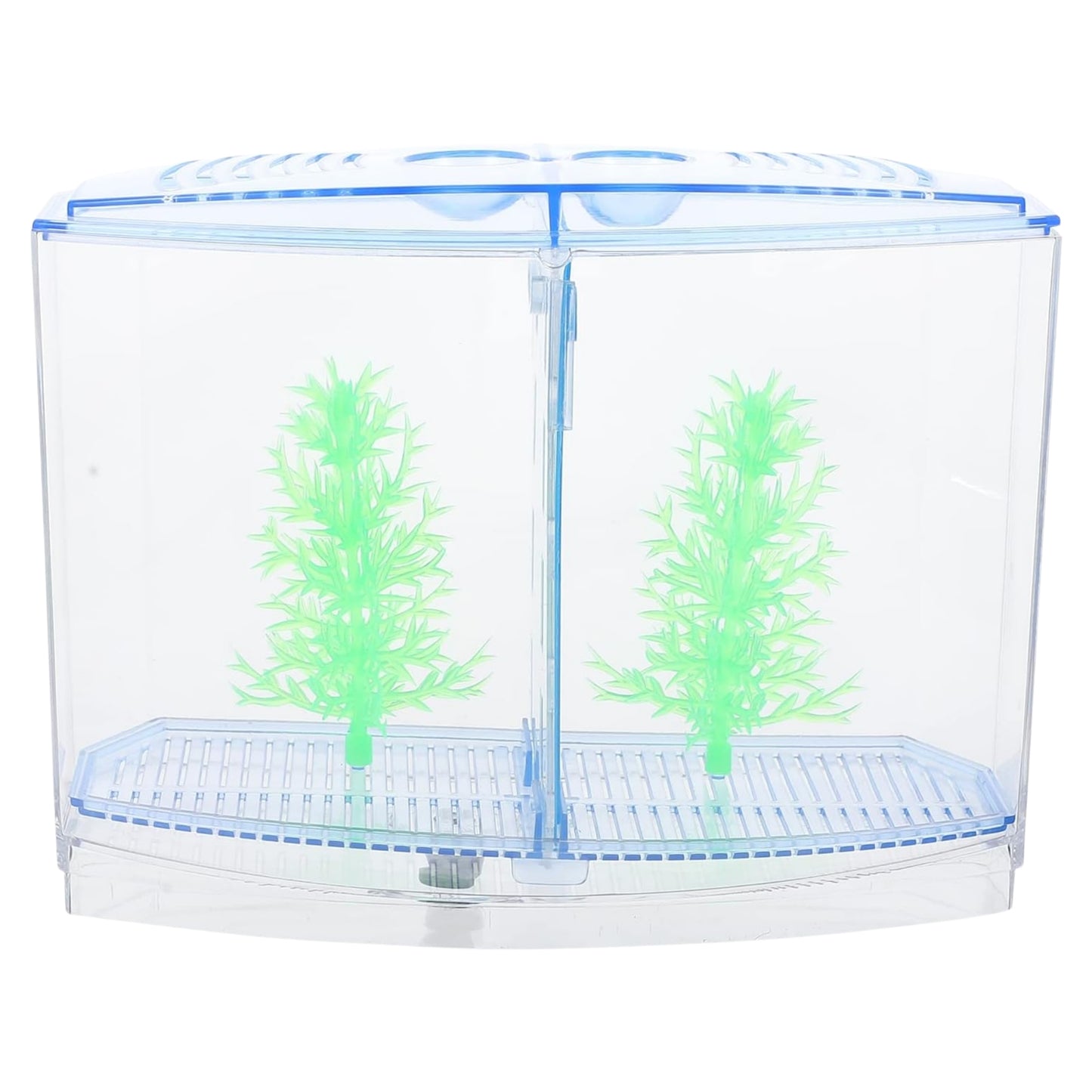 Bettera Doble – Diseño Dividido para Betta Fish - COSMOS