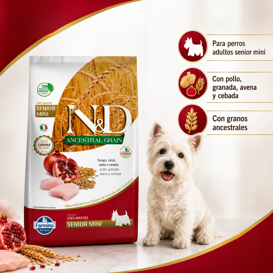 N&D Ancestral Grain Pollo Senior Mini 2.5kg