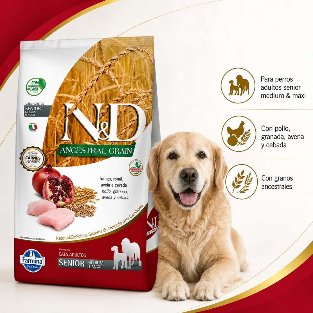 N&D Ancestral Grain Pollo Senior Medium y Maxi