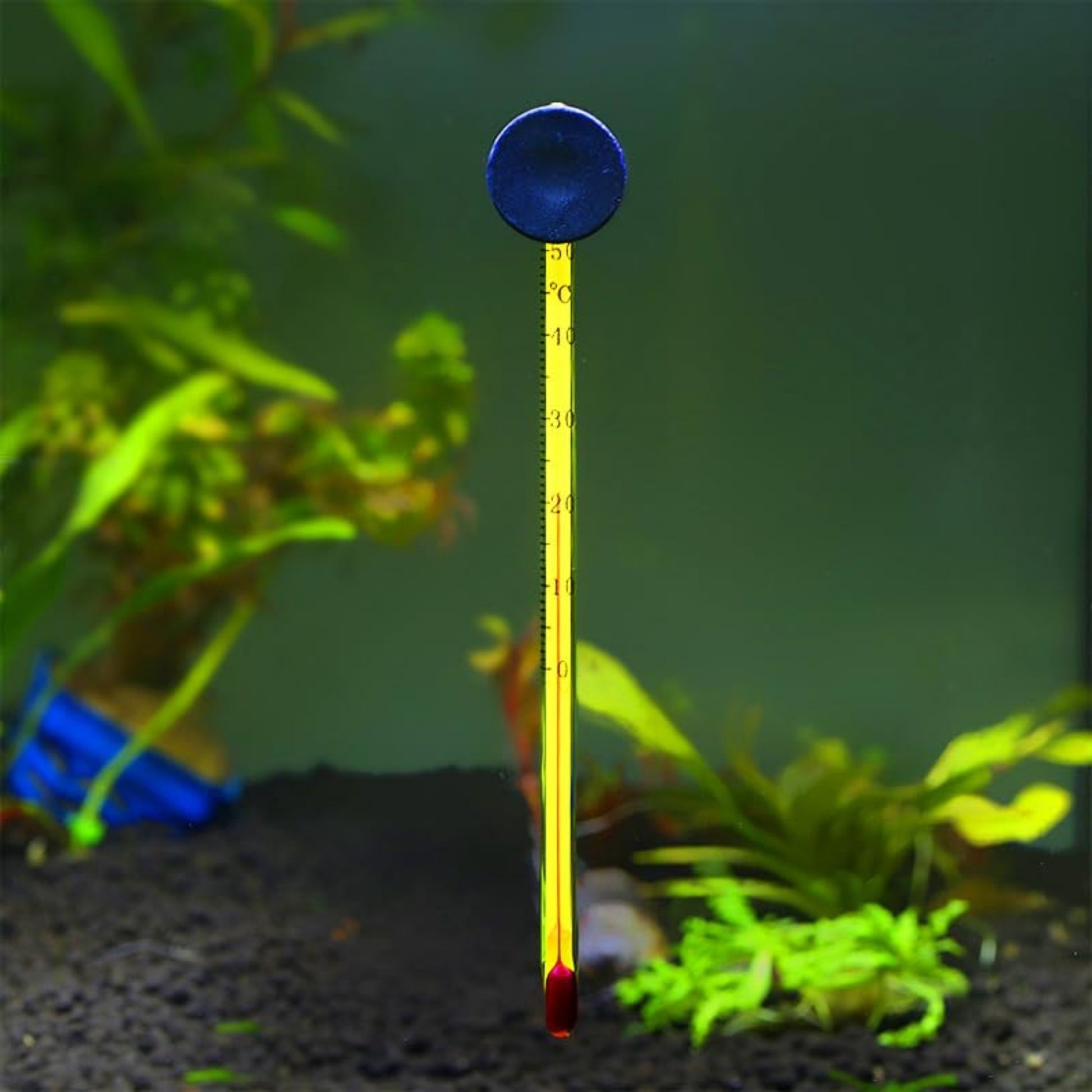 Termómetro de Vidrio Profesional para Acuario - COSMOS