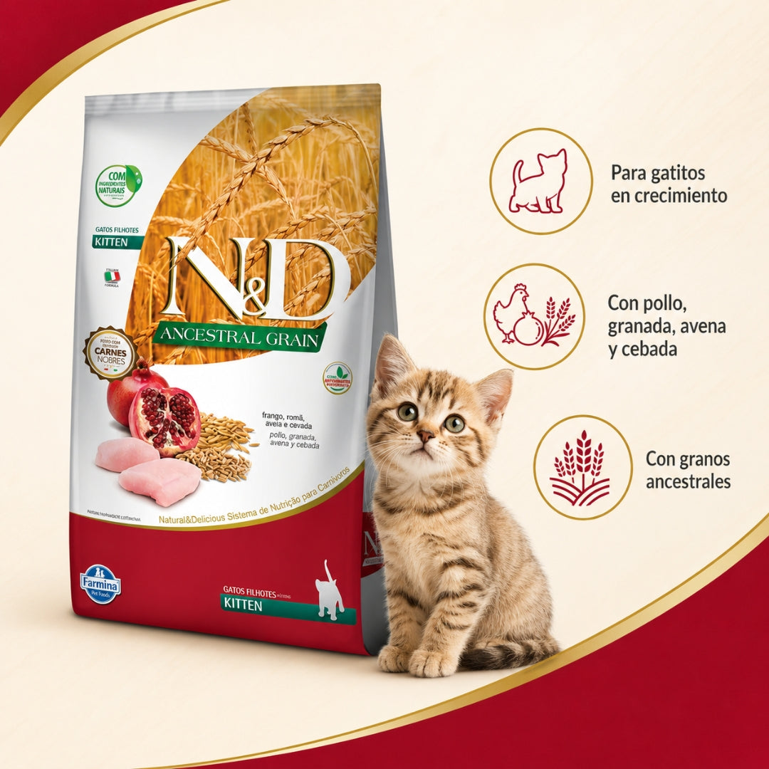 N&D Ancestral Cat Pollo Kitten 1.5kg