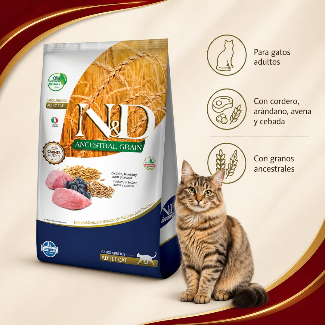 N&D Ancestral Cat Cordero Adulto