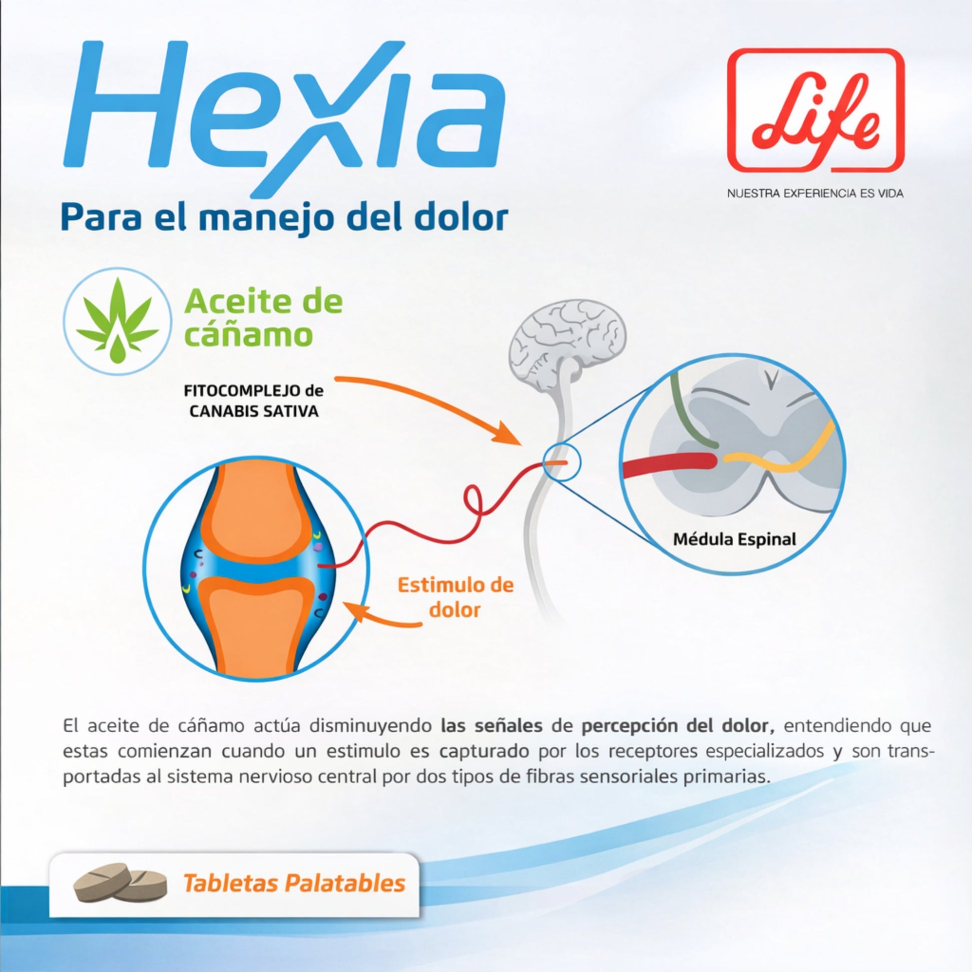 Hexia CBD para Perros y Gatos – Control Natural del Dolor y Antiinflamatorio - Cosmos