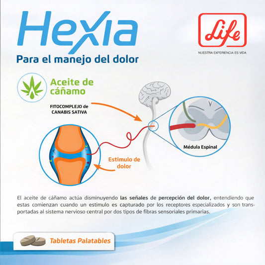 Hexia CBD para Perros y Gatos – Control Natural del Dolor y Antiinflamatorio - Cosmos
