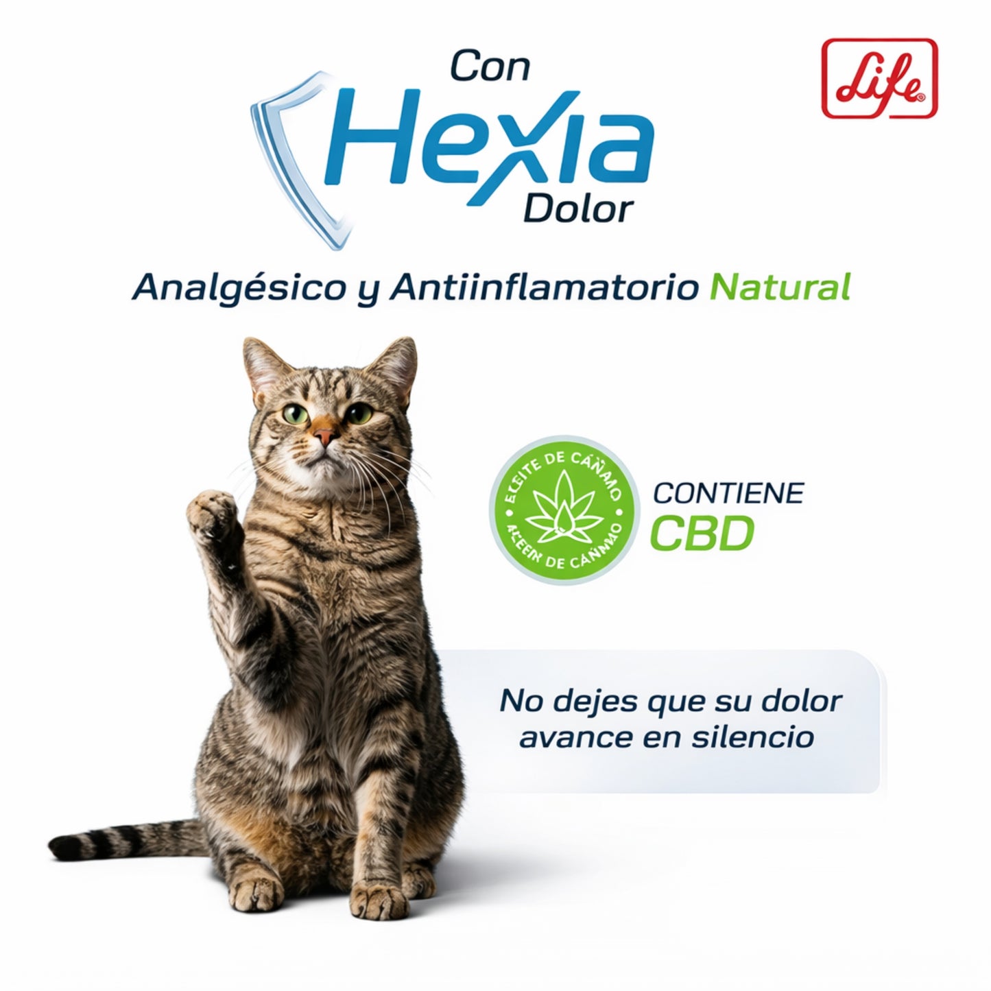Hexia CBD para Perros y Gatos – Control Natural del Dolor y Antiinflamatorio - Cosmos