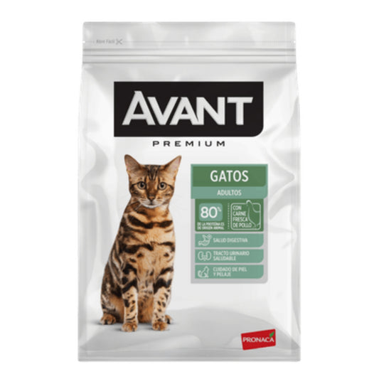 AVANT GATO