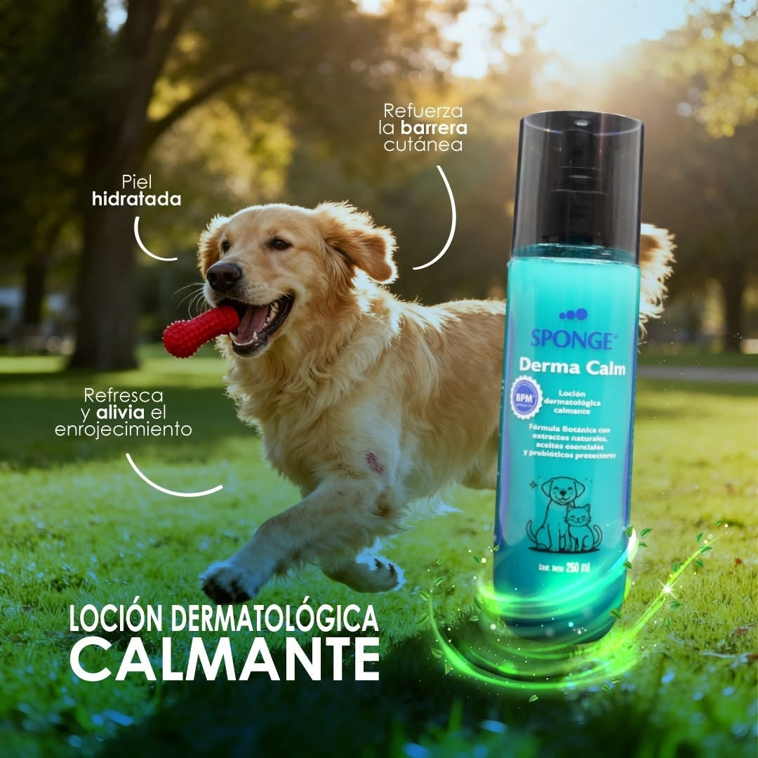Derma Calm 250 ml para Mascotas | Cuidado Dermatológico Natural