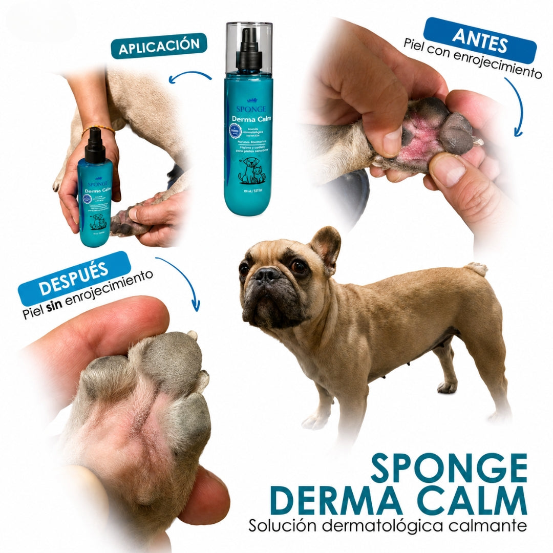 Derma Calm 250 ml para Mascotas | Cuidado Dermatológico Natural