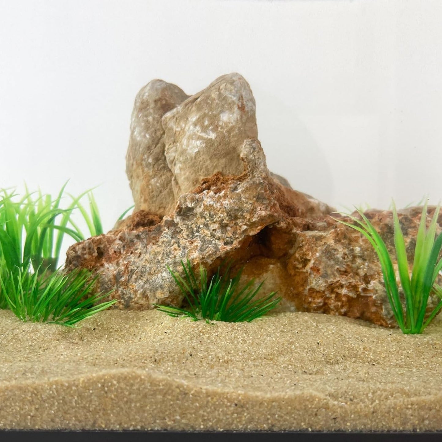 Arena Premium para Acuario – Varios Colores Disponibles 1kg - COSMOS
