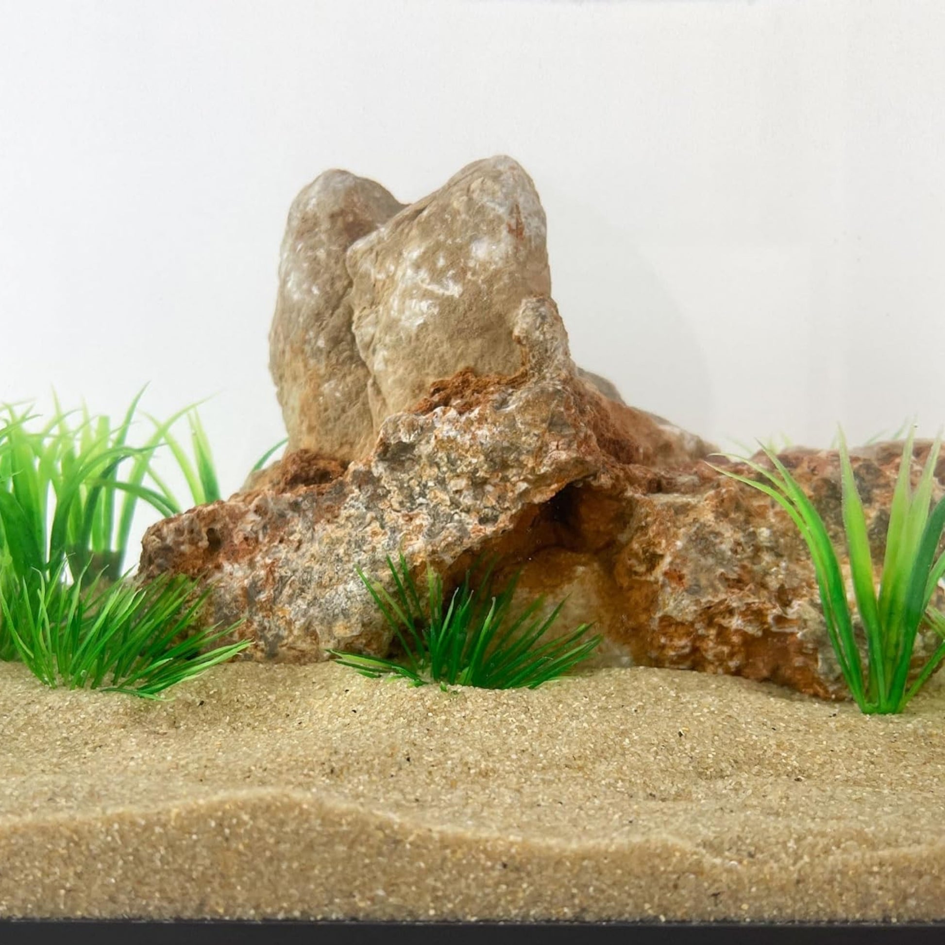 Arena Premium para Acuario – Varios Colores Disponibles 1kg - COSMOS