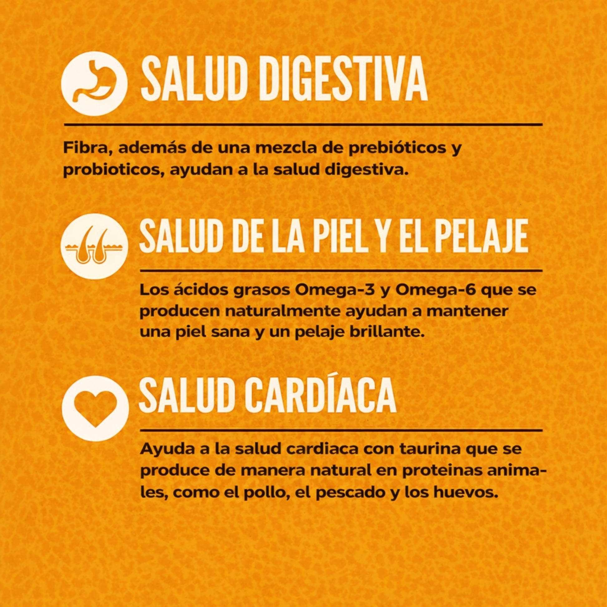 ORIJEN Original Cat & Kitten – Comida Natural para Gatos de Todas las Edades - Cosmos