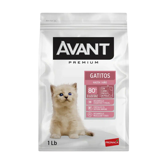 AVANT GATITOS – Nutrición Premium para Gatitos hasta 1 Año