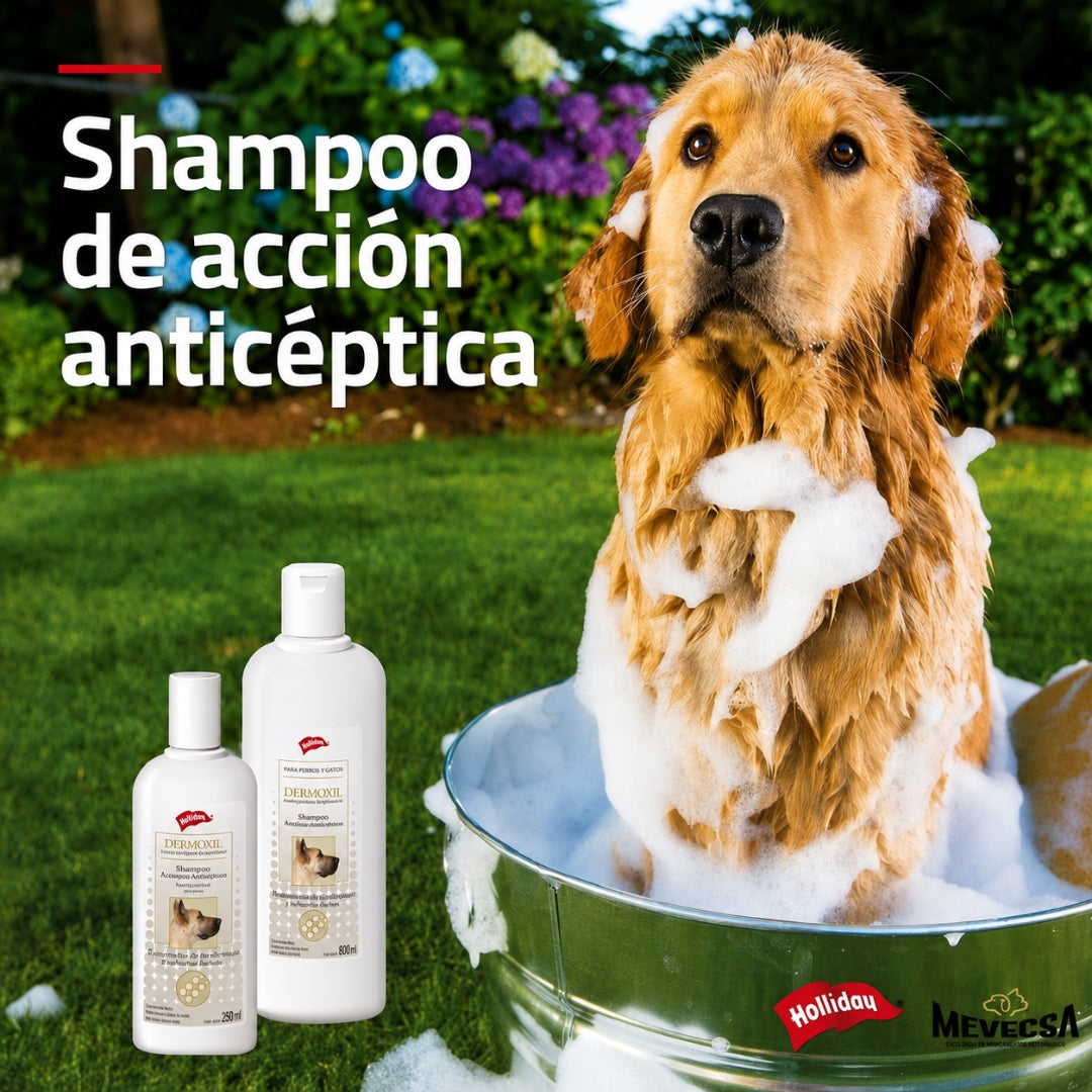 Dermoxil Shampoo Antiséptico para Perros y Gatos 250 ml