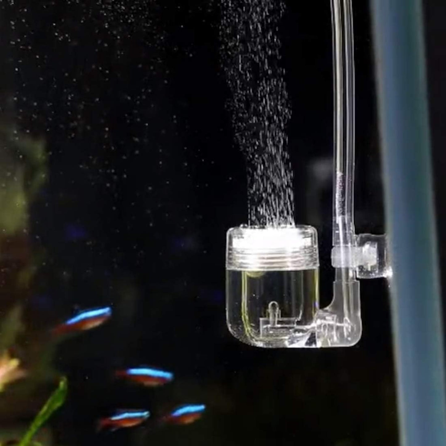 Difusor de CO2 4 en 1 para Acuario Plantado – Atomizador con Ventosa Antirretorno - COSMOS