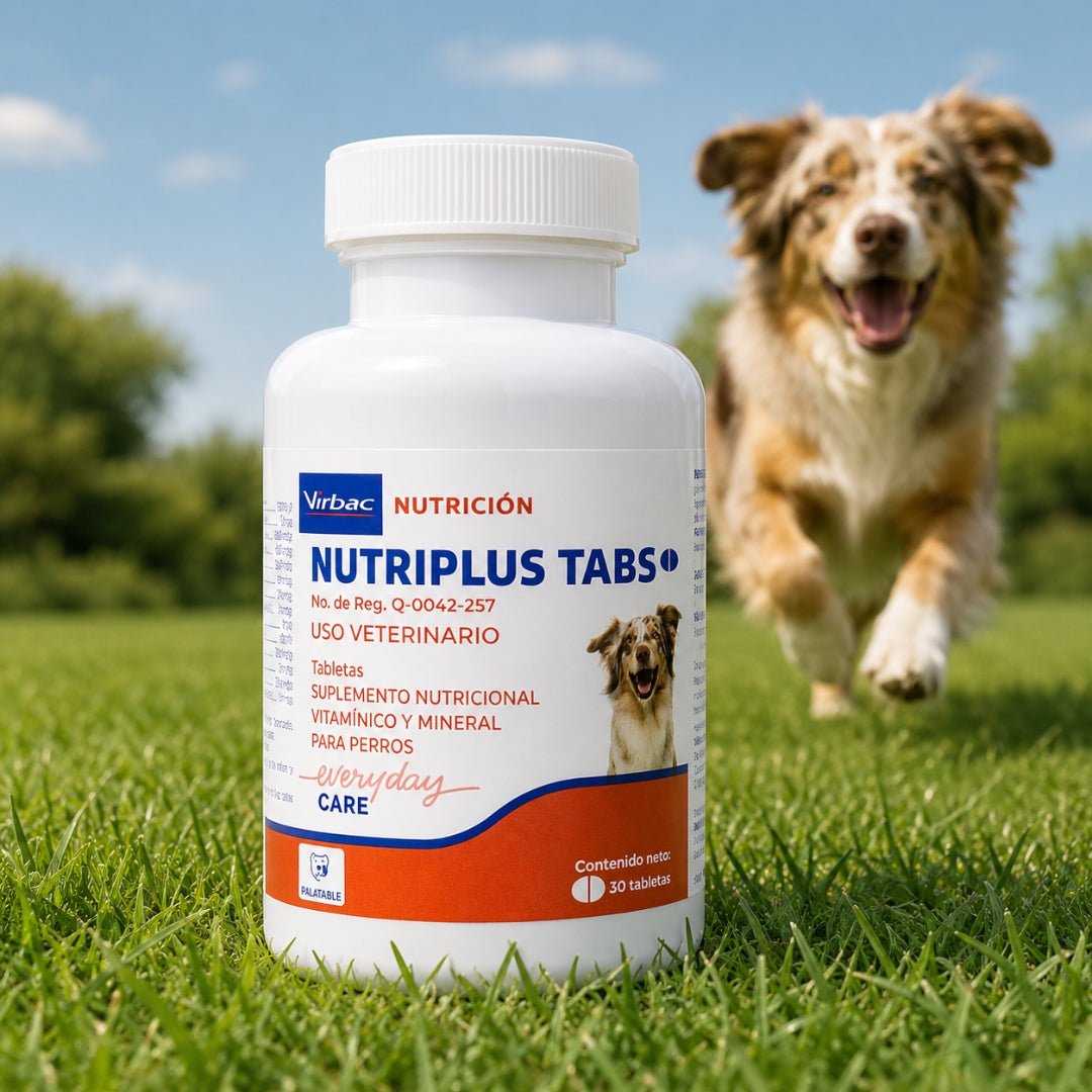 Nutriplus Tabs x 60 Tabletas para Perros | Suplemento Nutricional - Cosmos