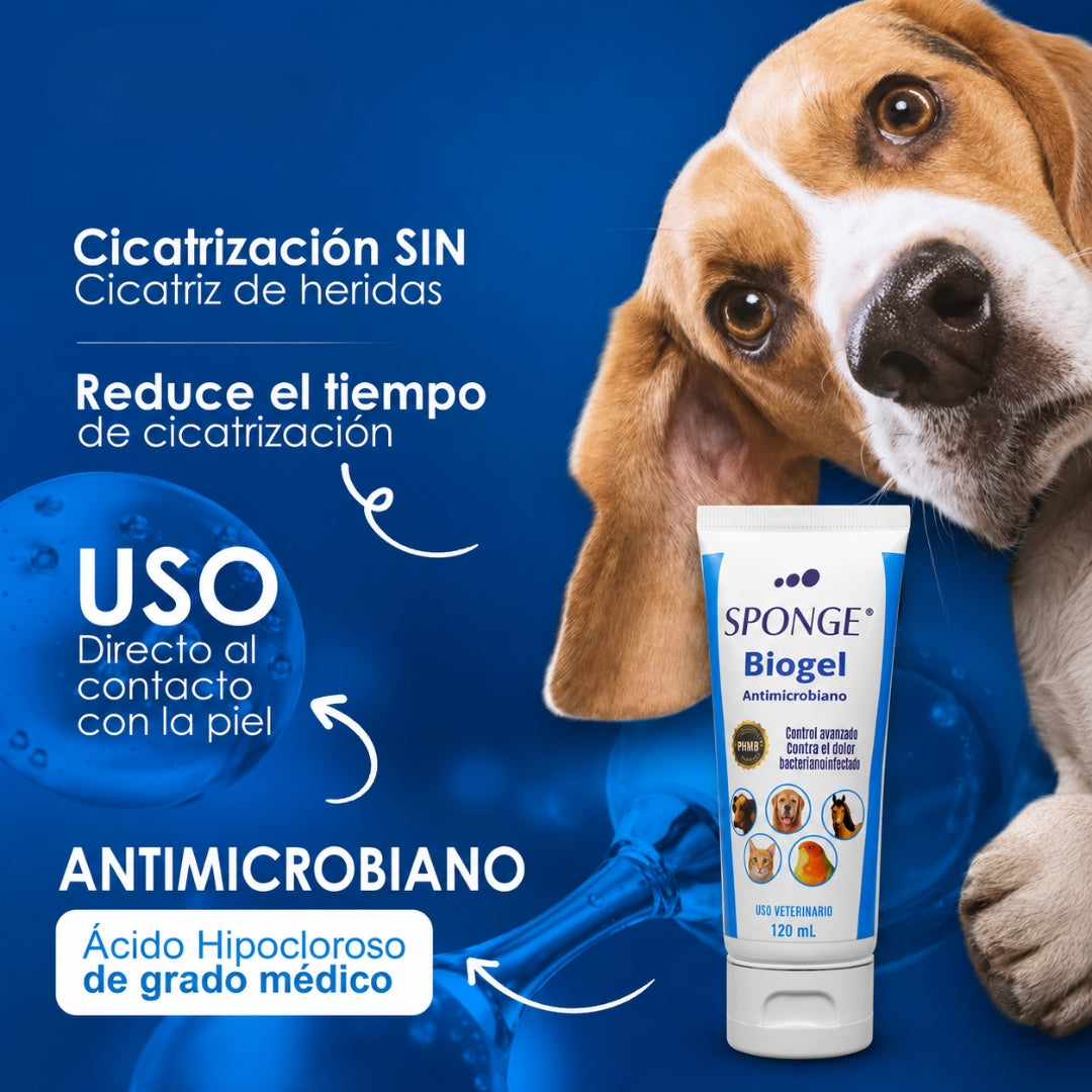 Sponge Biogel para Cicatrización de Heridas en Perros y Gatos 60 ml
