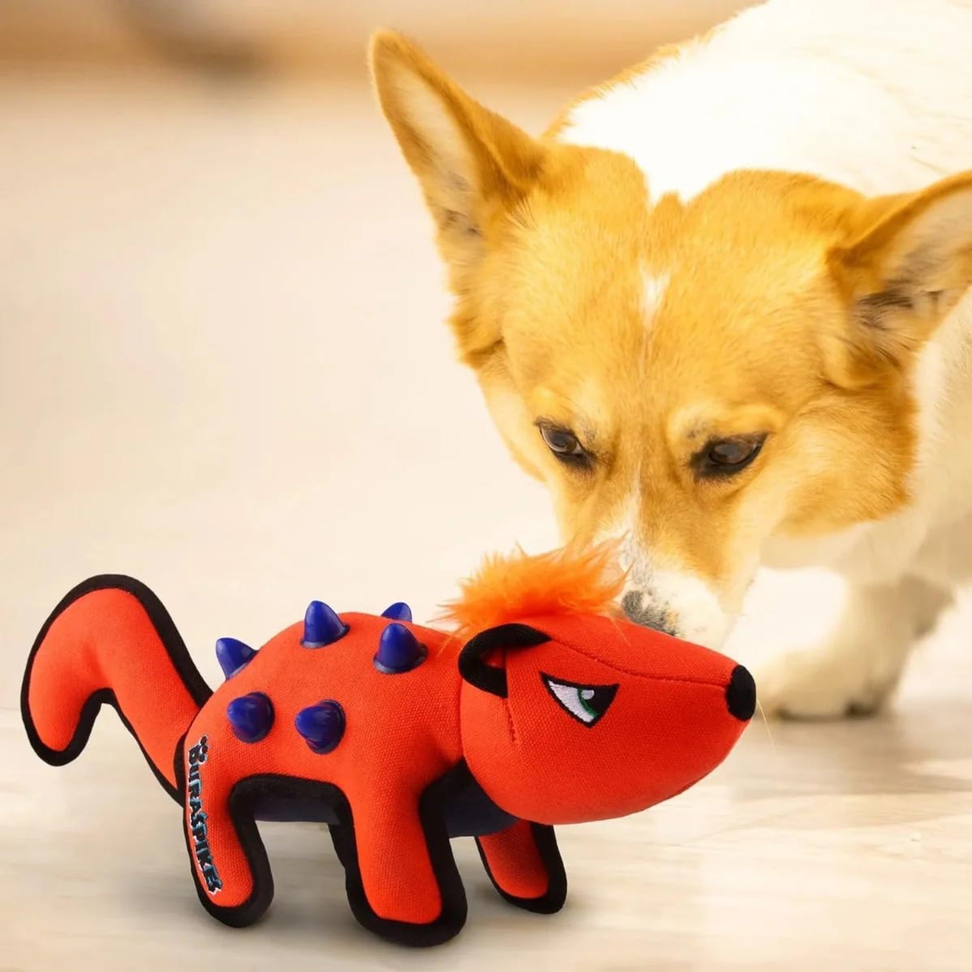 Juguete para perro GIGWI Duraspikes Ardilla - COSMOS