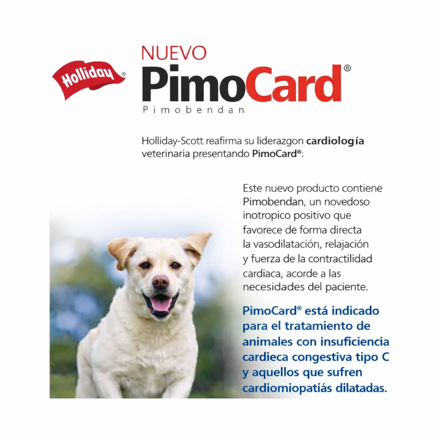 Pimocard – Soporte Cardiológico para Perros - Cosmos