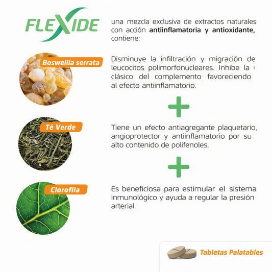 Confis Ultra Soporte Articular para osteoartritis - Cosmos