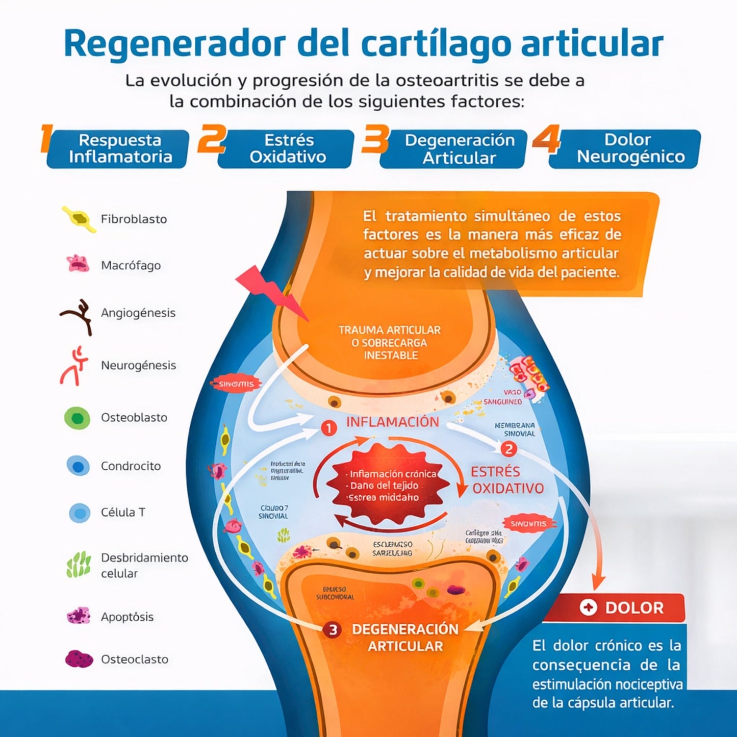 Confis Ultra Soporte Articular para osteoartritis - Cosmos