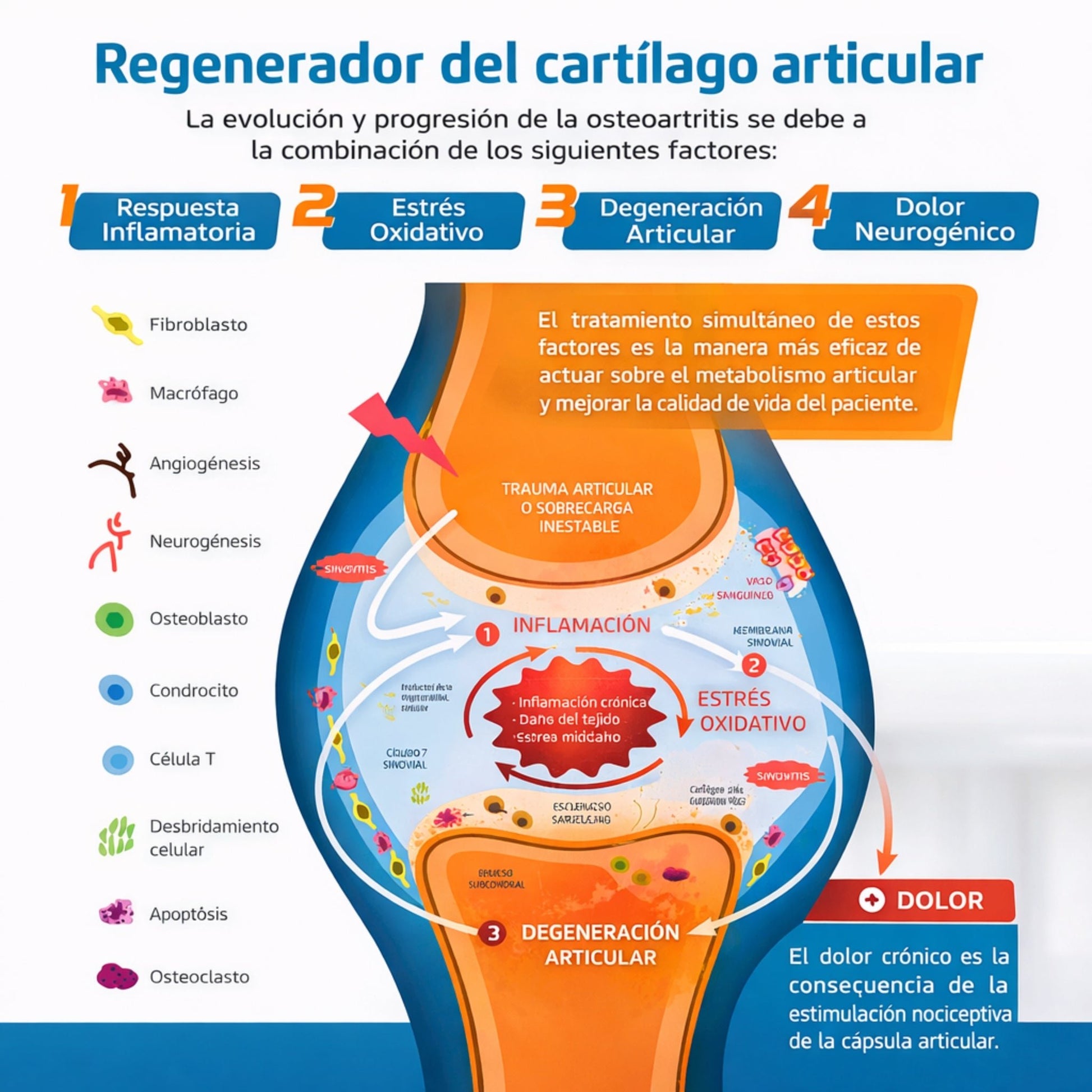 Confis Ultra Soporte Articular para osteoartritis - Cosmos