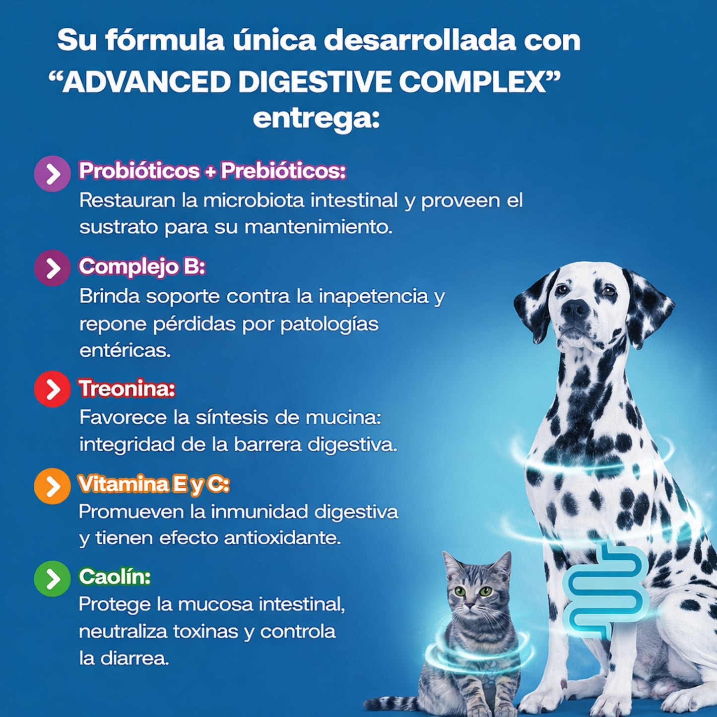 ProBio 15ml – Probiótico Digestivo para Perros y Gatos - Cosmos