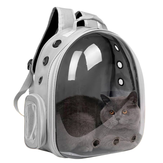 Mochila Transportadora Transparente – Diseño Futurista y Ventilado - COSMOS