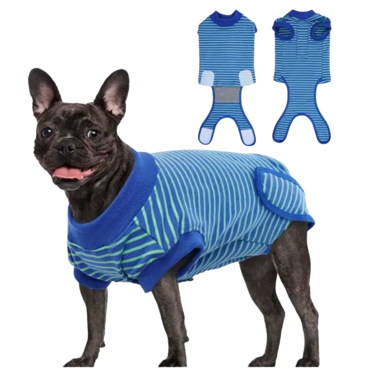 Faja Postoperatoria para Perros | Protección, Comodidad y Seguridad - Cosmos