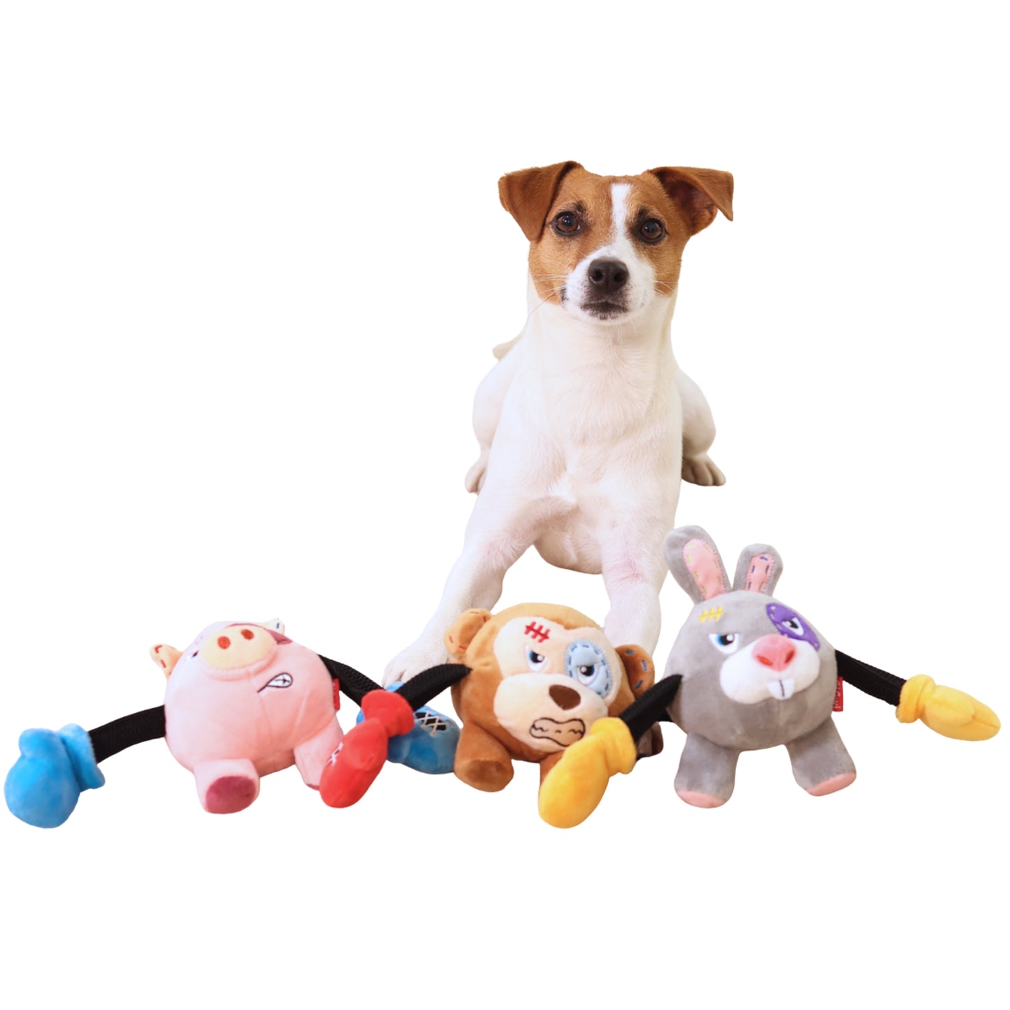 GiGwi Rock Zoo King Boxer – Juguete de Peluche con Sonido para Perros - Cosmos