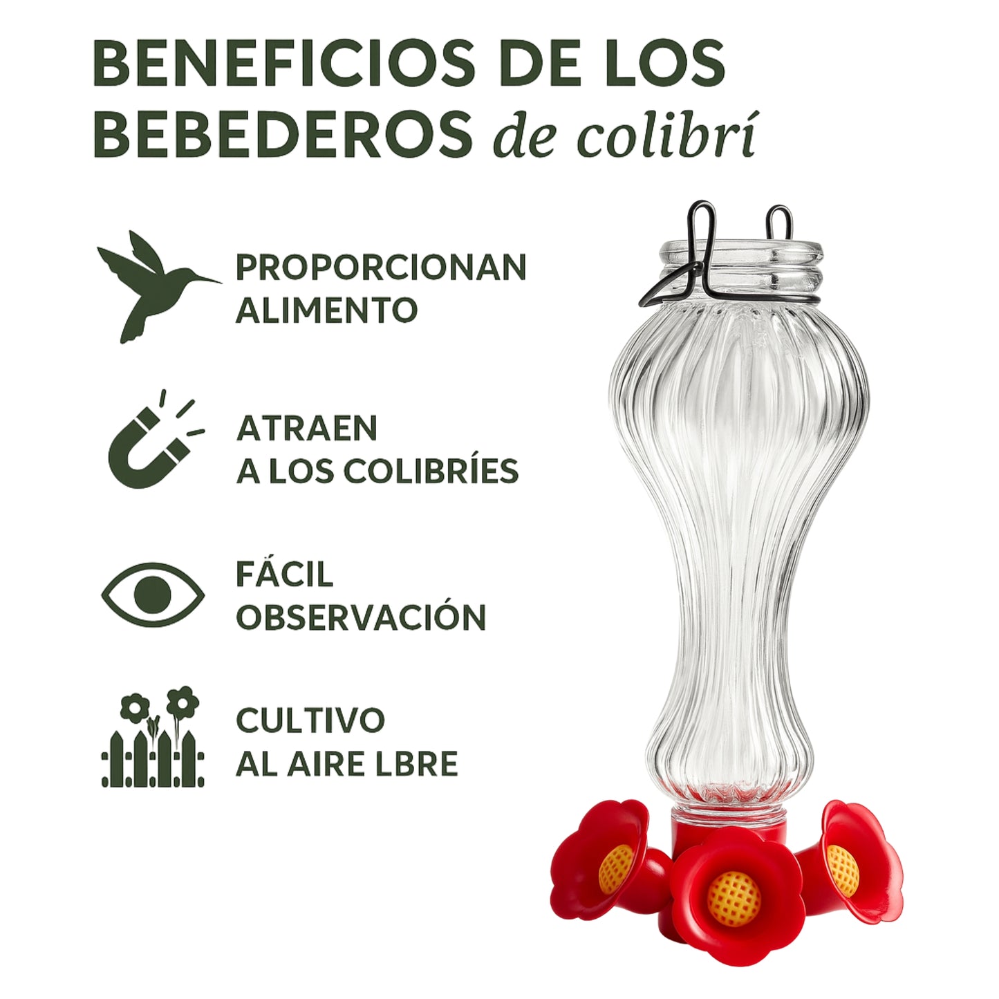 Bebedero para Colibrí de Vidrio con Flores - Cosmos
