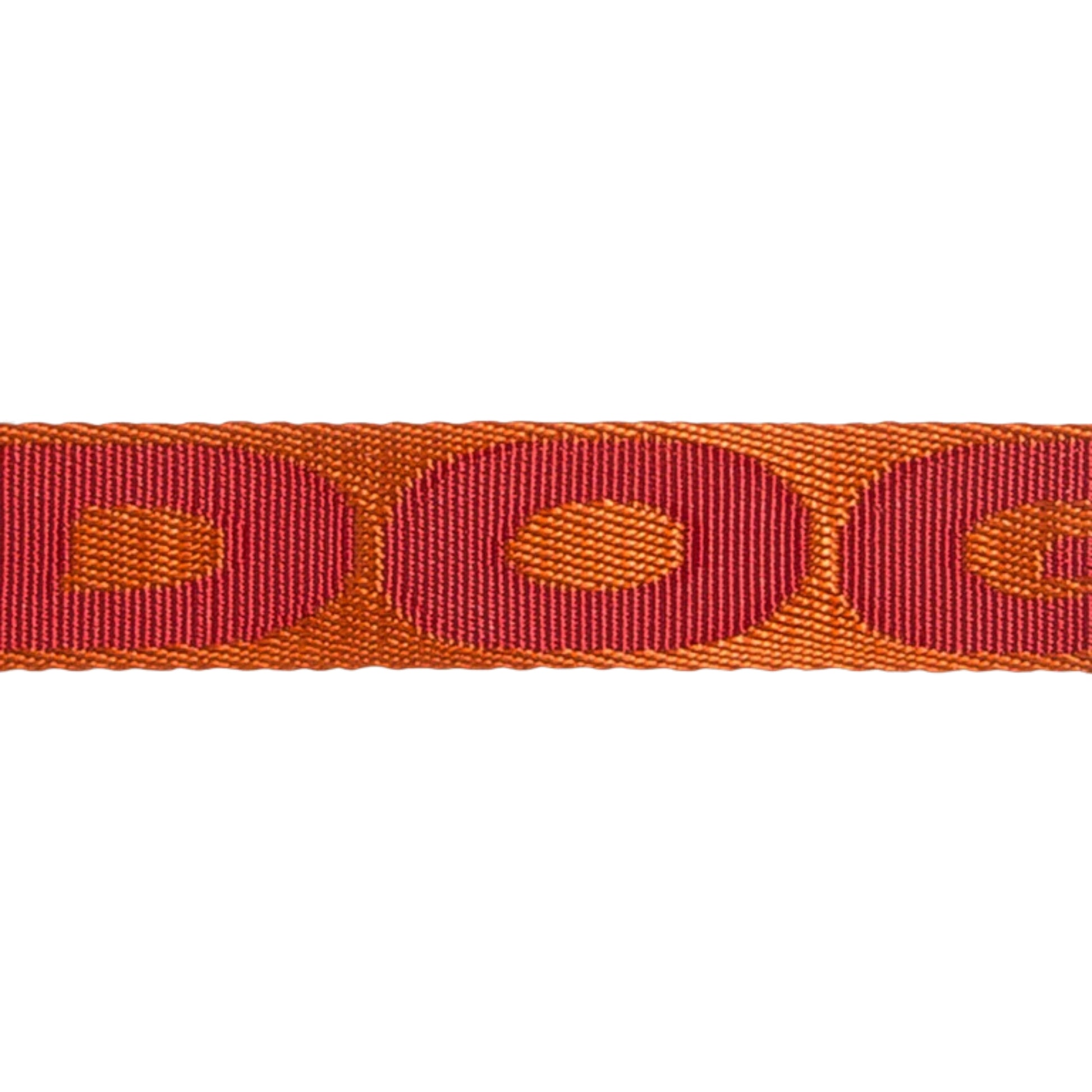 Zee.Cat Collar Gibson – Collar para Gatos Ajustable con Broche de Seguridad - Cosmos