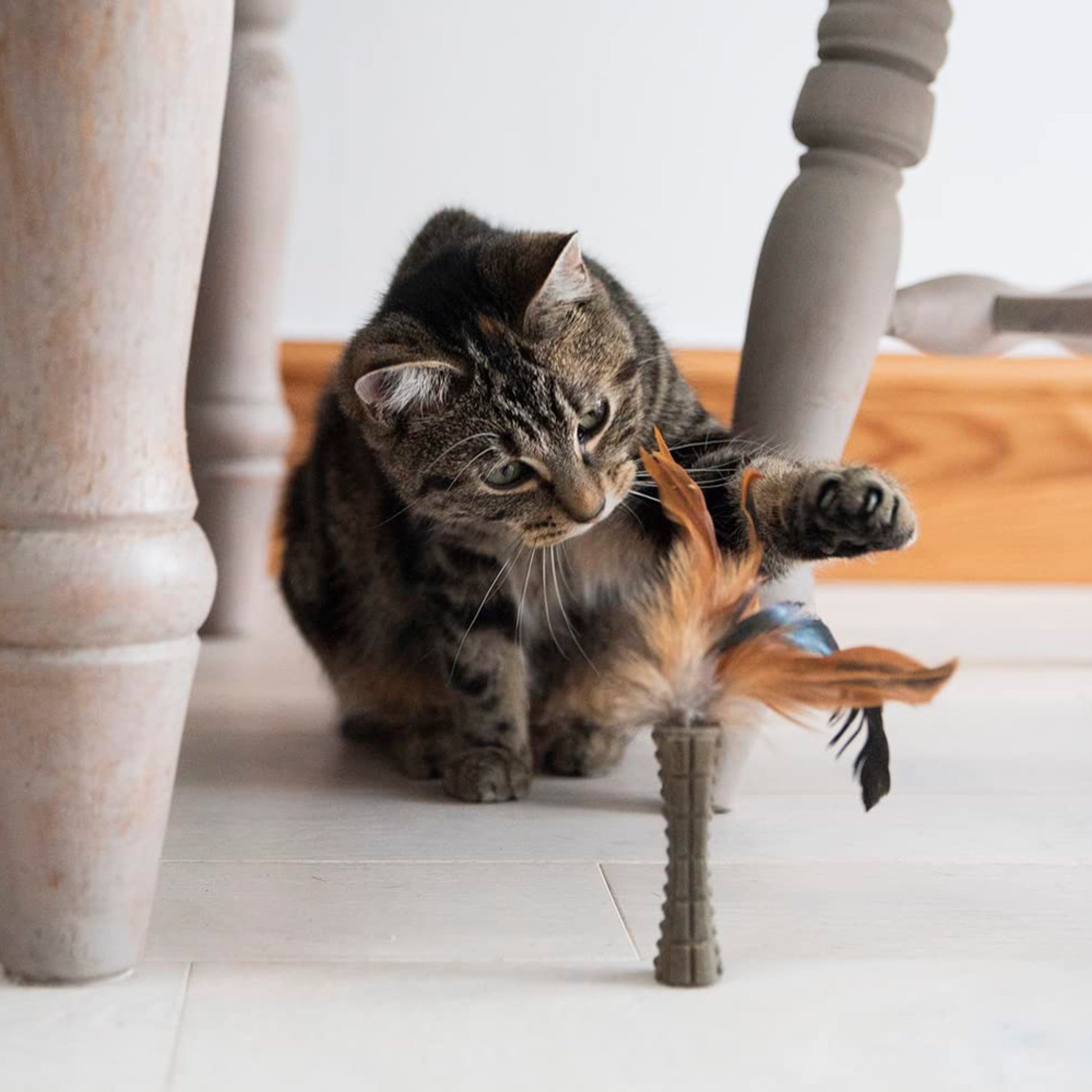 GiGwi Johnny Stick con Catnip - Juguete para Gatos - Cosmos