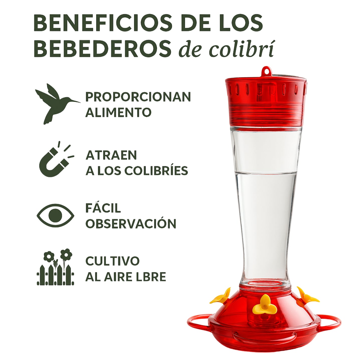 Bebedero para Colibrí de Vidrio con Puertos de Alimentación - Cosmos