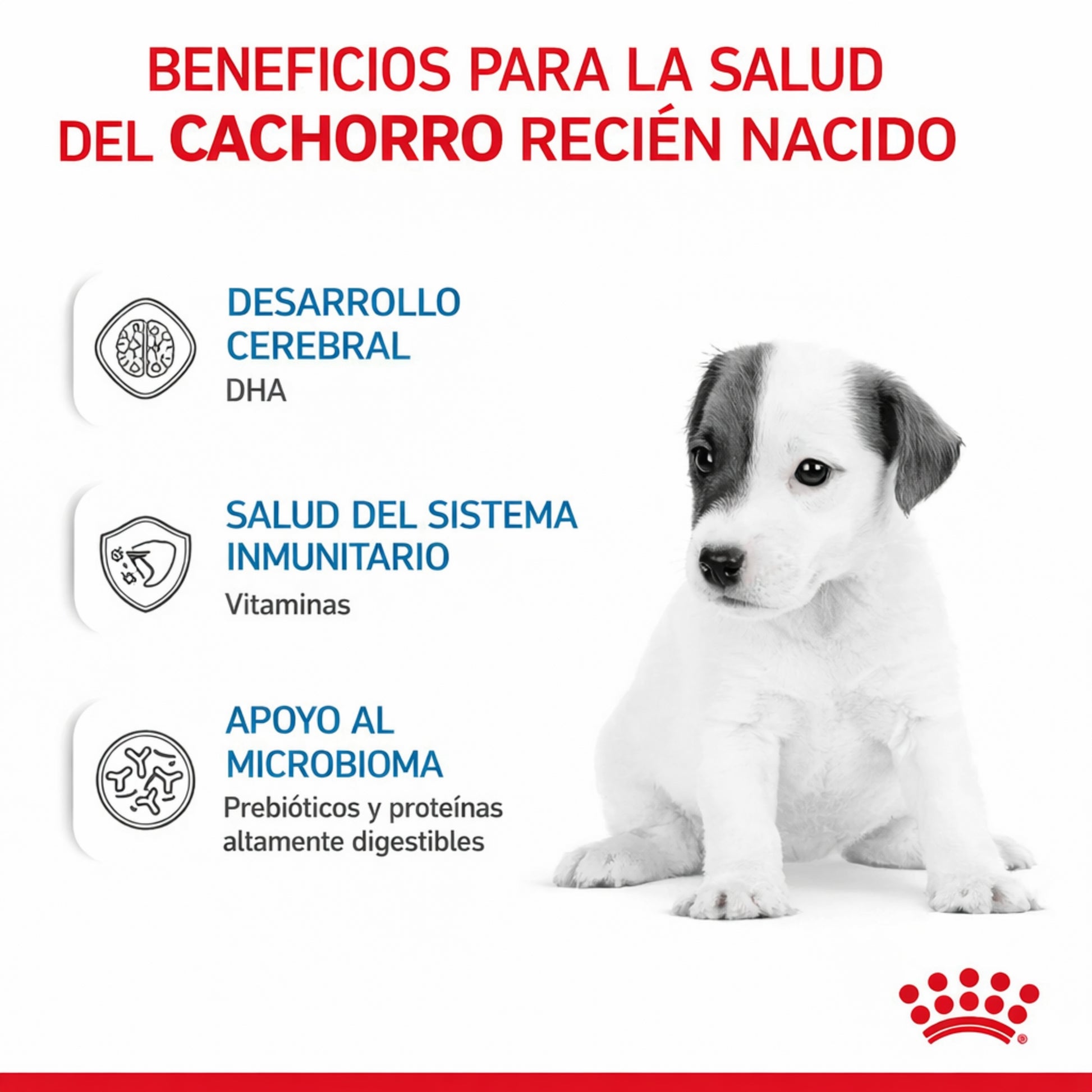 Royal Canin Babydog Milk –Sustituto de Leche para Cachorros (0 - 2 meses) - Cosmos