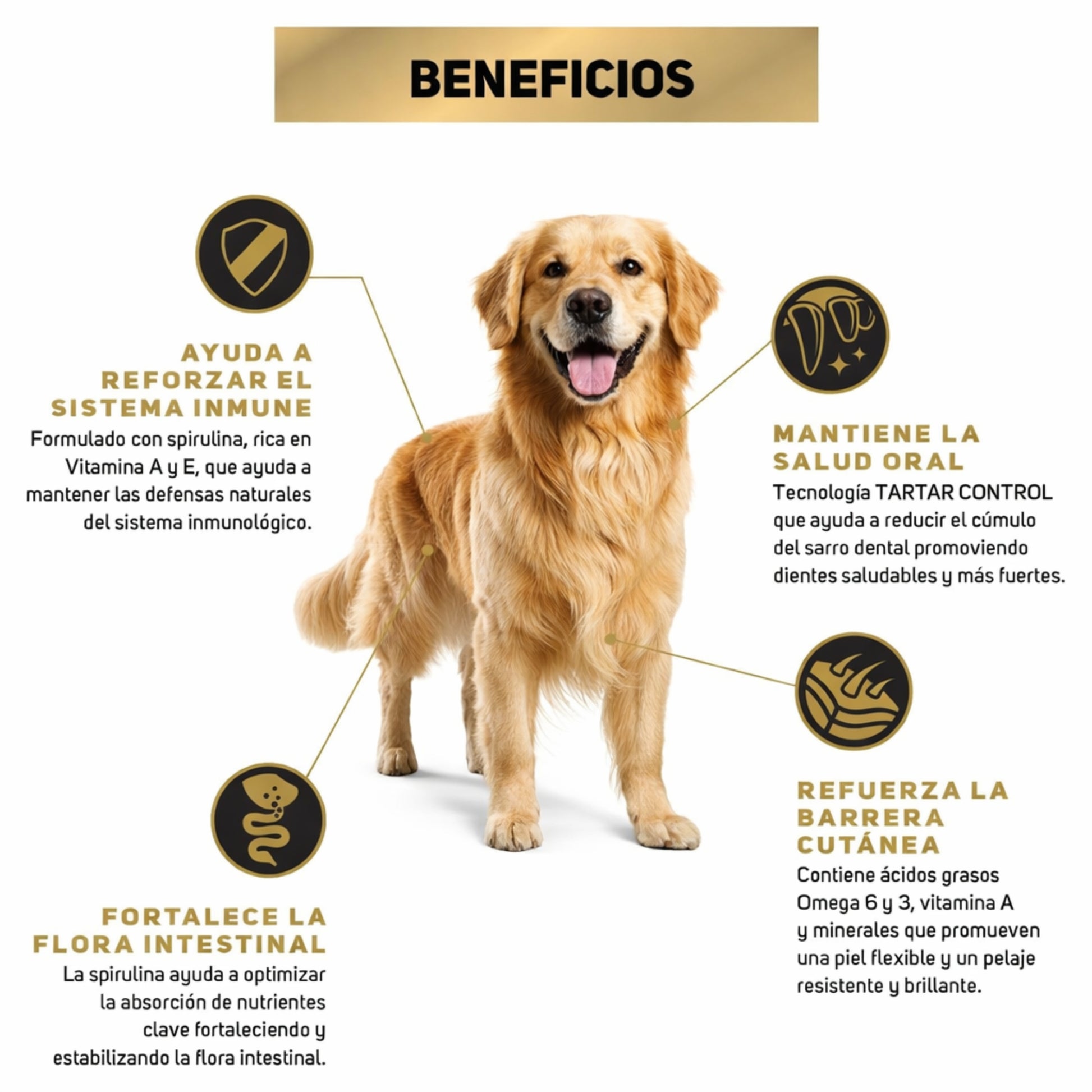 Pro Plan Adultos Perros Razas Medianas 15kg - Cosmos