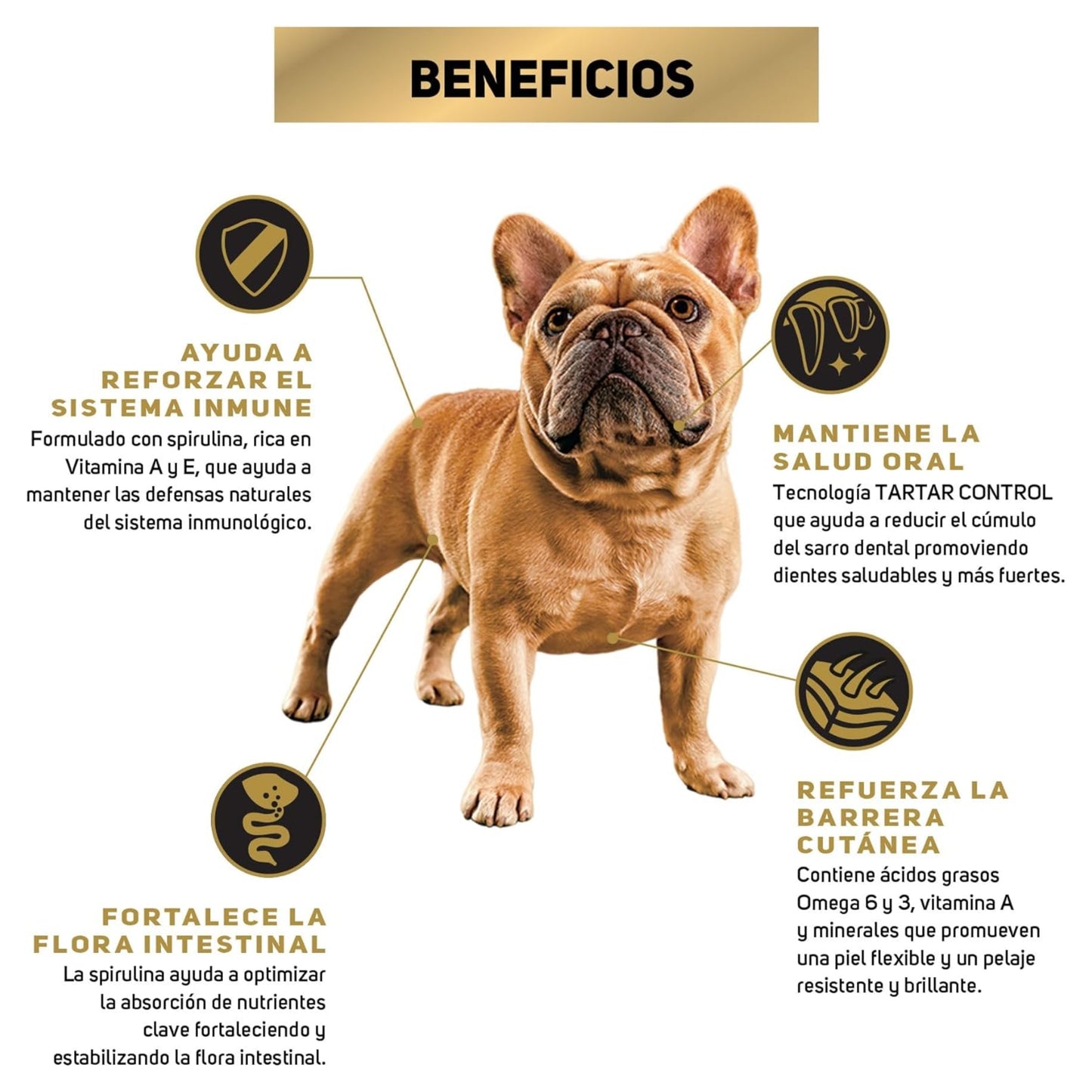 Pro Plan Adulto Razas Pequeñas - Cosmos