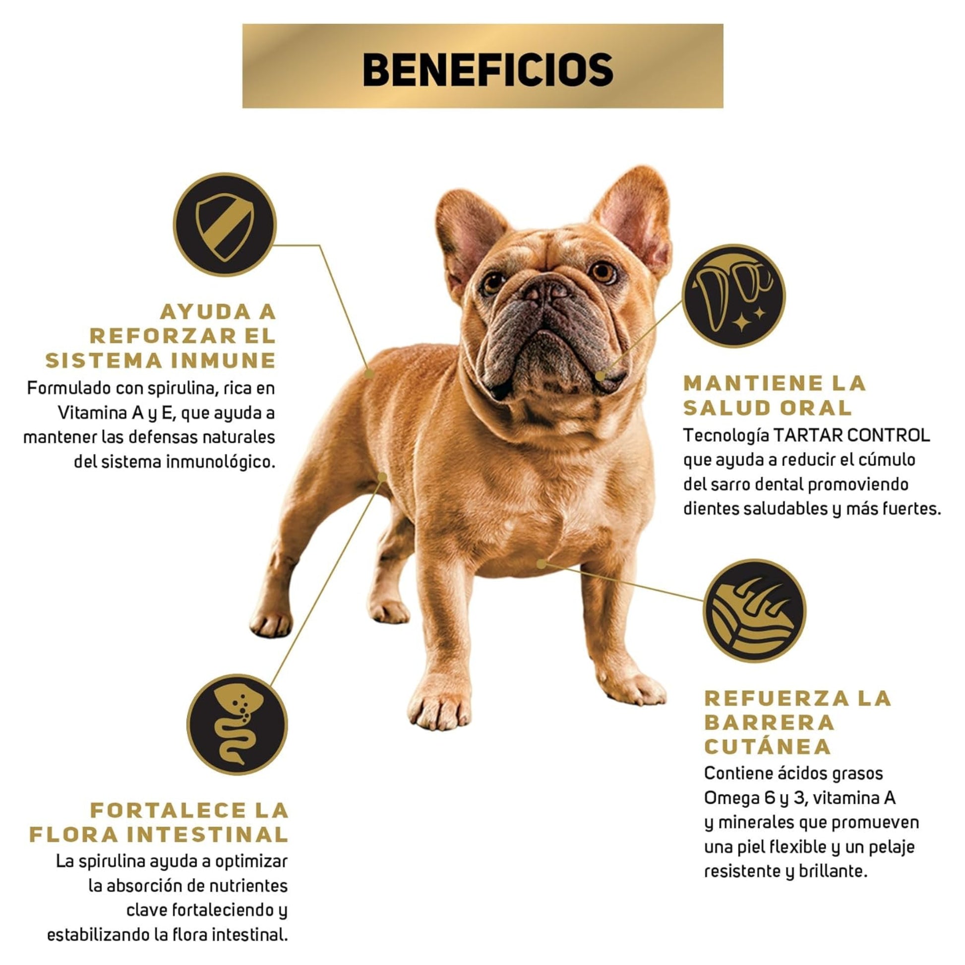 Pro Plan Adulto Razas Pequeñas - Cosmos